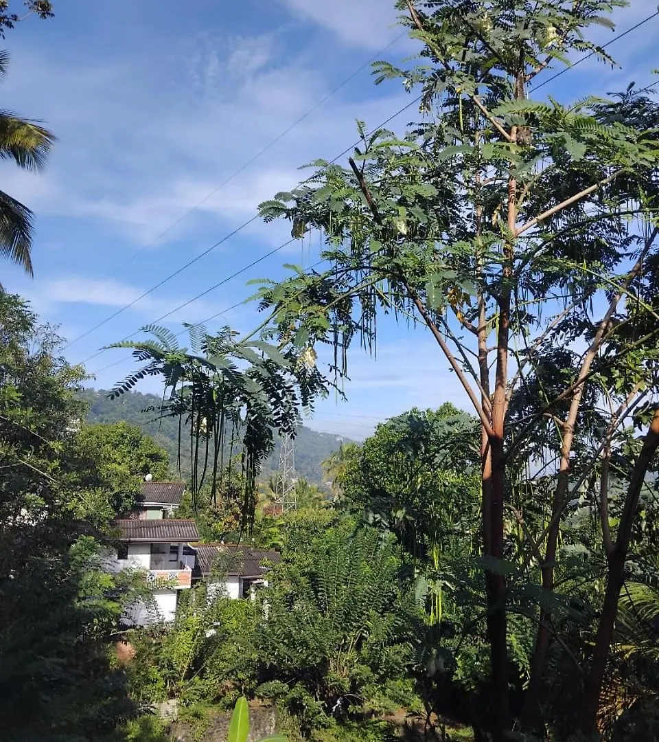 Jasmine Villa Homestay Κάντι Πανσιόν